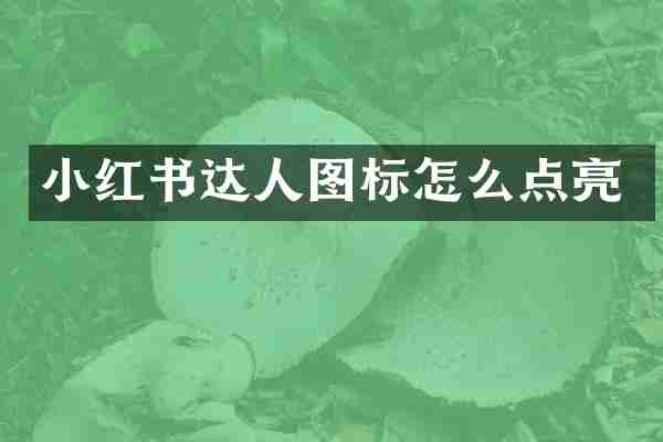 小红书达人图标怎么点亮