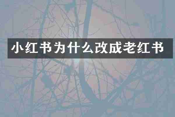 小红书为什么改成老红书