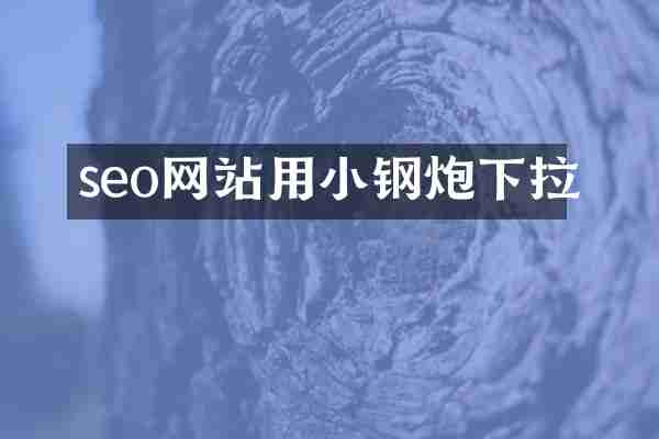 seo网站用小钢炮下拉