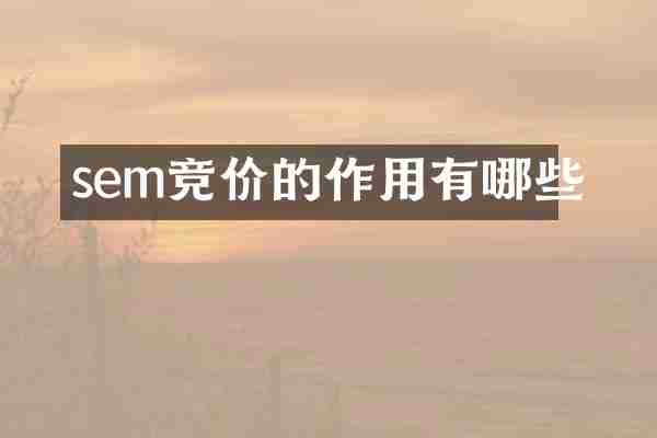 sem竞价的作用有哪些