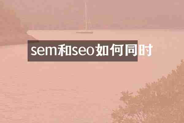 sem和seo如何同时