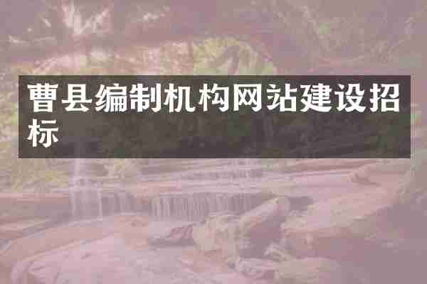 曹县编制机构网站建设招标