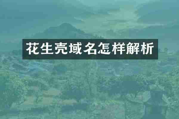 花生壳域名怎样解析