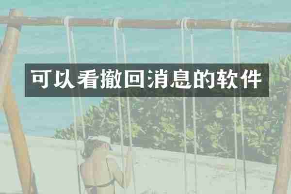 可以看撤回消息的软件