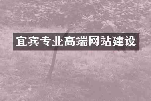 宜宾专业高端网站建设