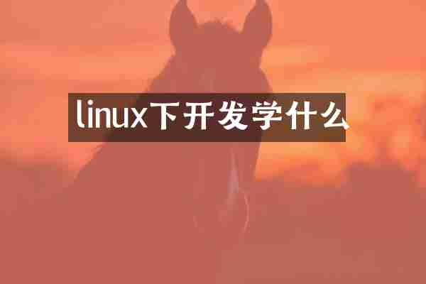 linux下开发学什么