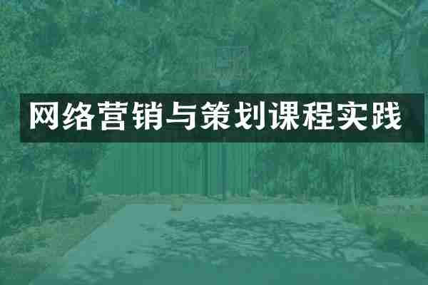 网络营销与策划课程实践