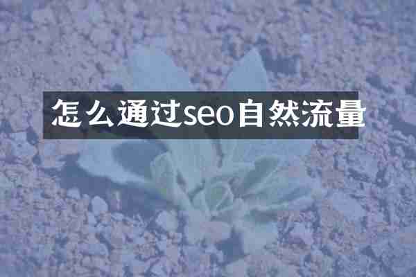 怎么通过seo自然流量
