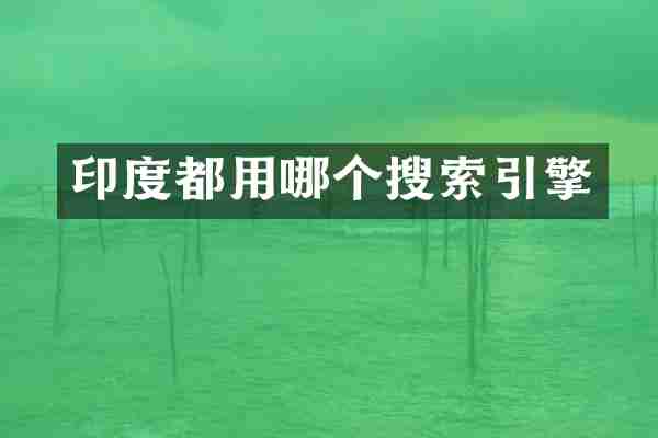 印度都用哪个搜索引擎