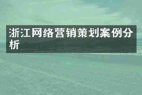 浙江网络营销策划案例分析