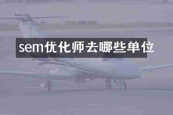 sem优化师去哪些单位