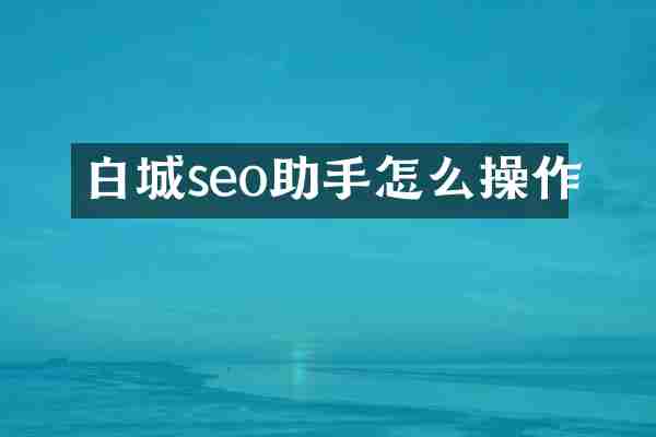 白城seo助手怎么操作