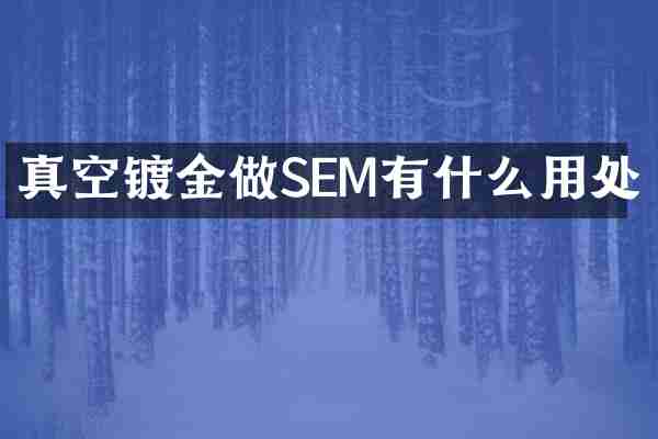 真空镀金做SEM有什么用处