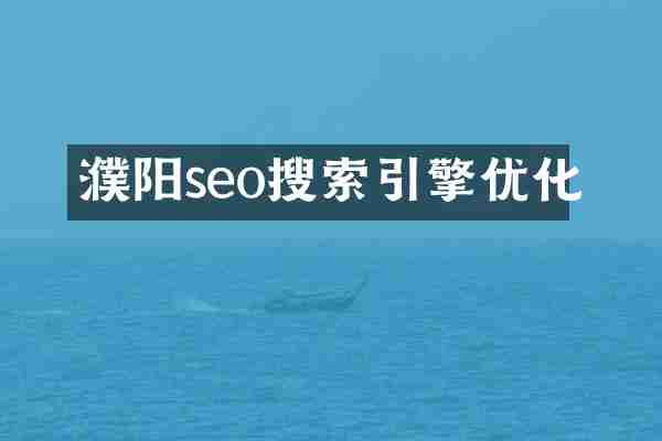 濮阳seo搜索引擎优化