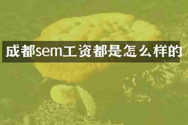 成都sem工资都是怎么样的