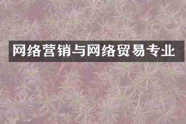 网络营销与网络贸易专业