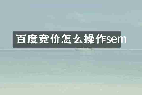 百度竞价怎么操作sem