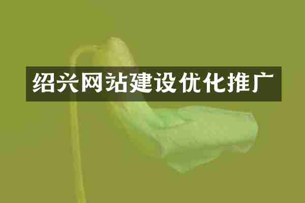 绍兴网站建设优化推广