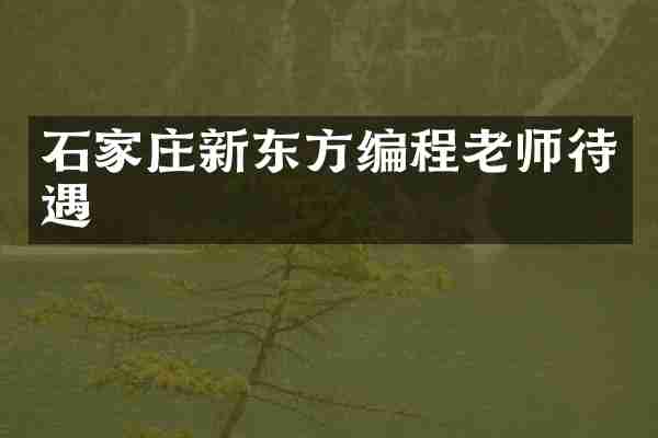 石家庄新东方编程老师待遇