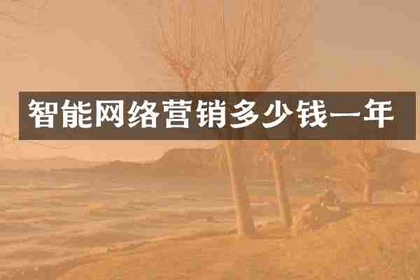 智能网络营销多少钱一年