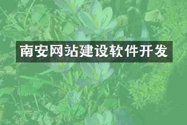 南安网站建设软件开发