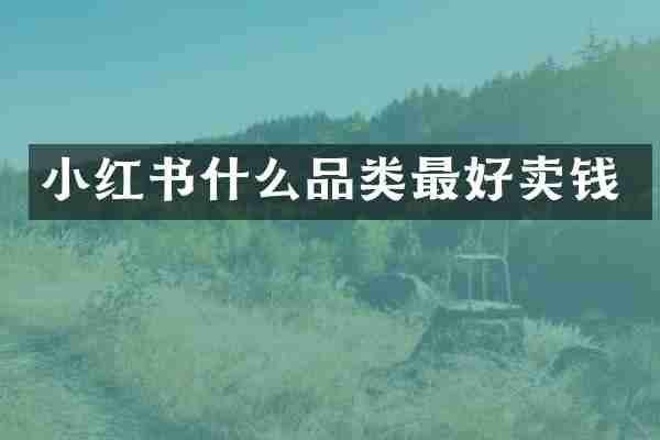 小红书什么品类最好卖钱