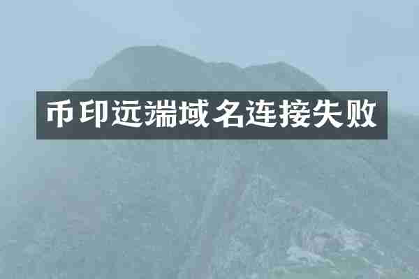 币印远端域名连接失败