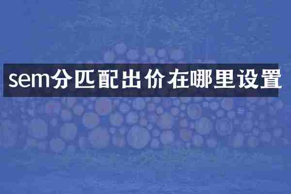 sem分匹配出价在哪里设置