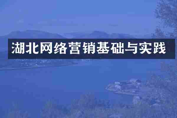 湖北网络营销基础与实践