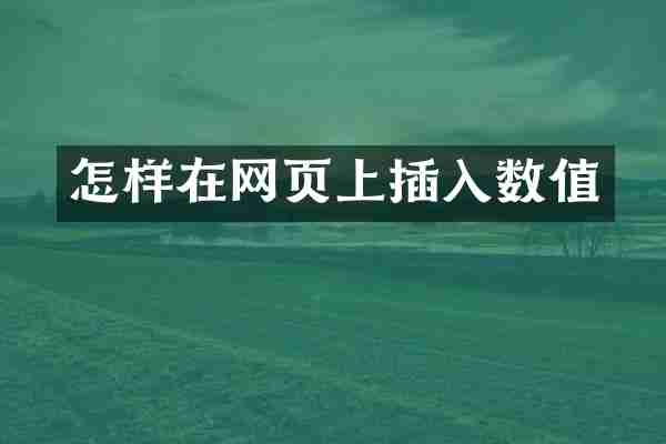 怎样在网页上插入数值