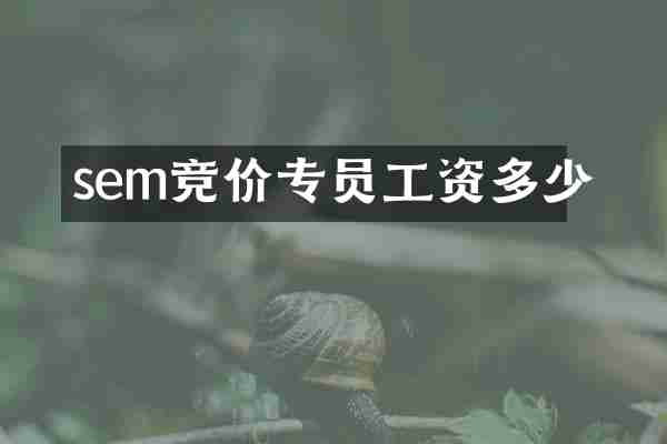 sem竞价专员工资多少