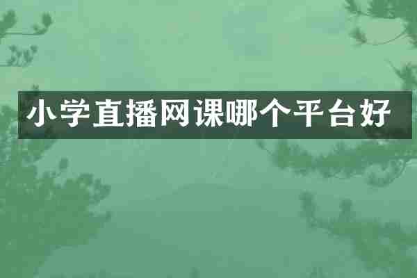 小学直播网课哪个平台好