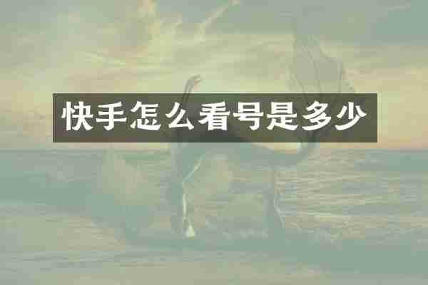 快手怎么看号是多少