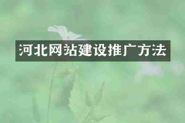 河北网站建设推广方法