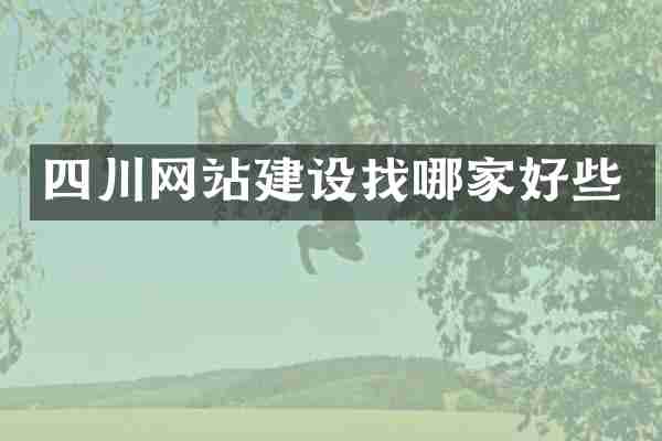 四川网站建设找哪家好些