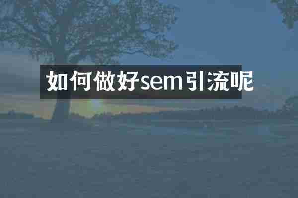 如何做好sem引流呢