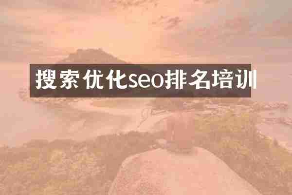 搜索优化seo排名培训
