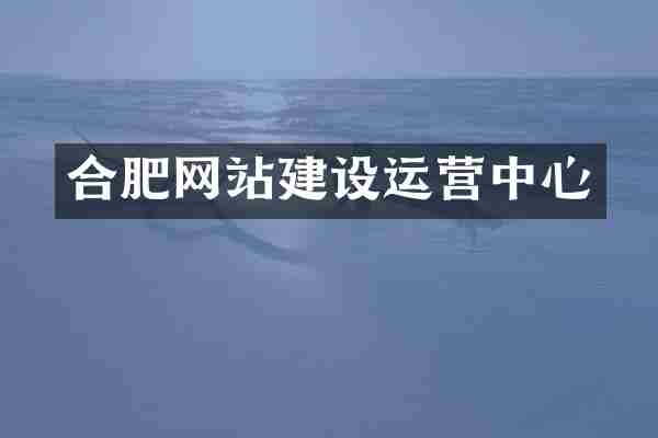 合肥网站建设运营中心