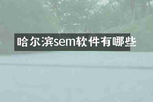 哈尔滨sem软件有哪些