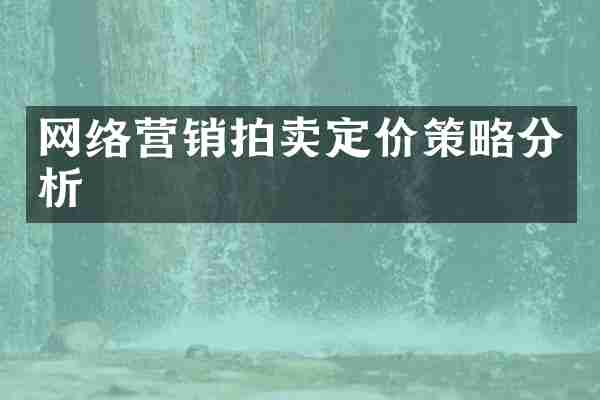 网络营销拍卖定价策略分析
