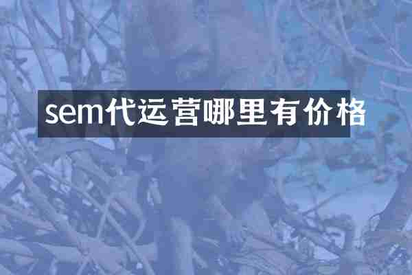 sem代运营哪里有价格