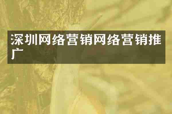 深圳网络营销网络营销推广