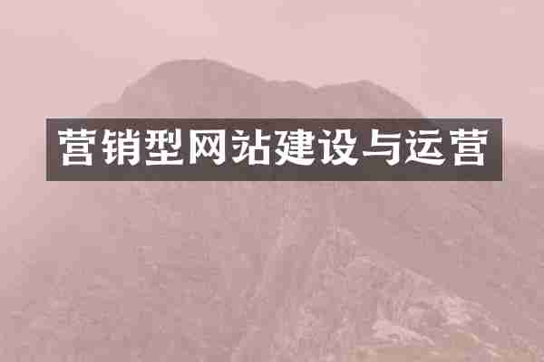 营销型网站建设与运营