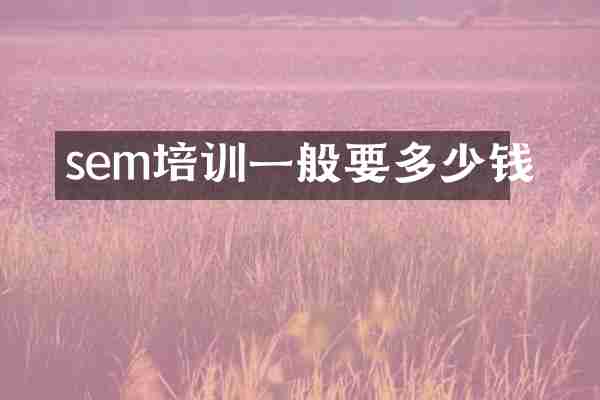 sem培训一般要多少钱