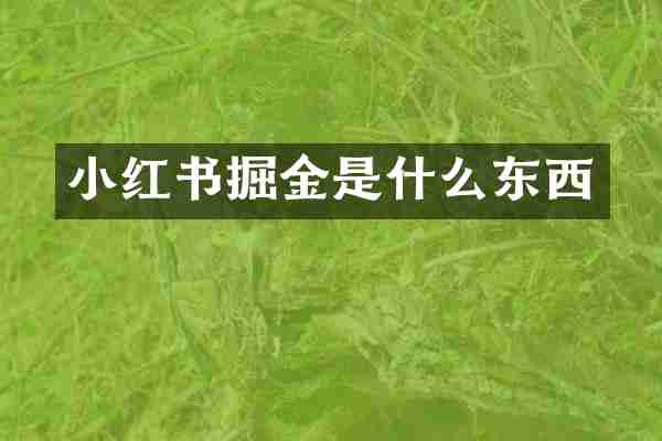 小红书掘金是什么东西