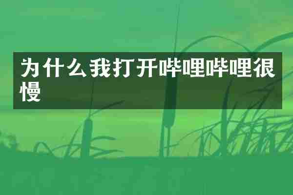 为什么我打开哔哩哔哩很慢
