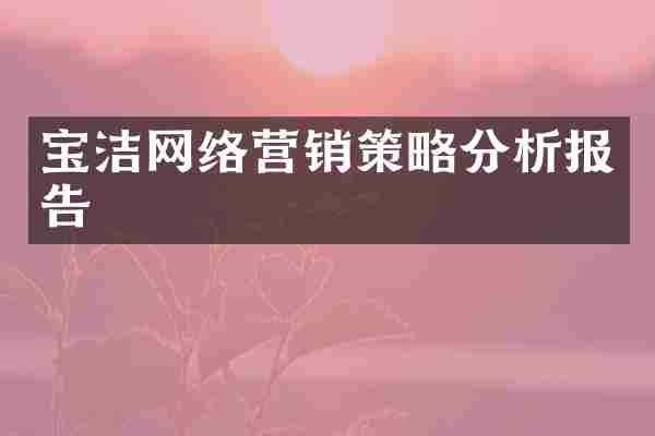 宝洁网络营销策略分析报告