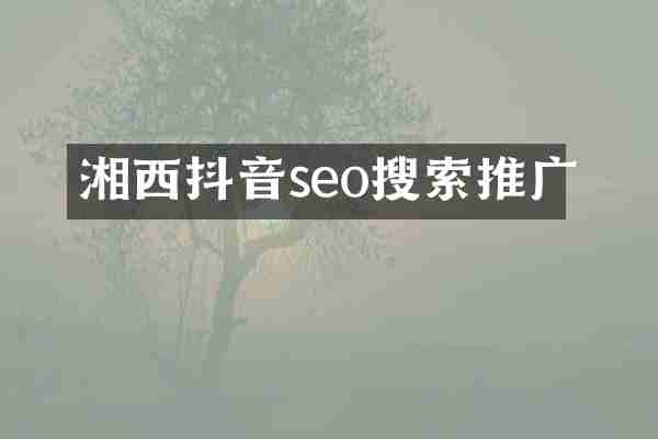 湘西抖音seo搜索推广