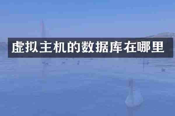 虚拟主机的数据库在哪里