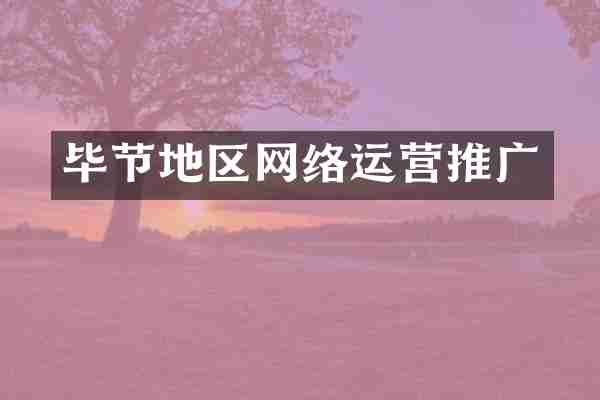 毕节地区网络运营推广